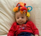 img003.jpeg.small.jpeg