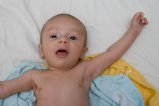 img010.jpeg.small.jpeg