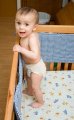 015-_MG_4240.jpg.small.jpeg