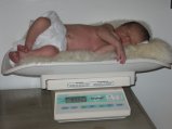 img000.jpeg.small.jpeg